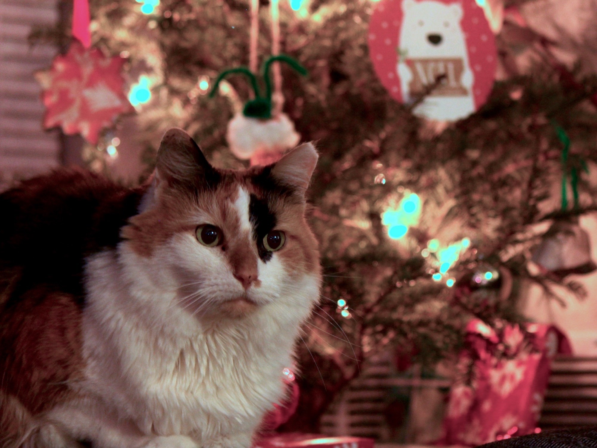 A Very Figy Christmas