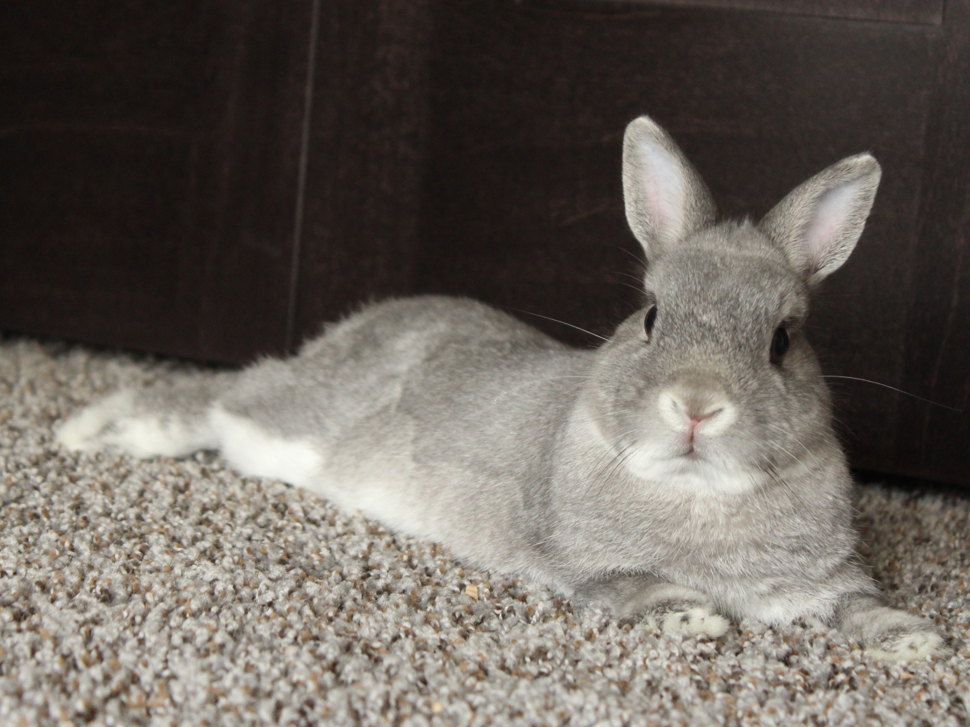 10 things to know about Henry