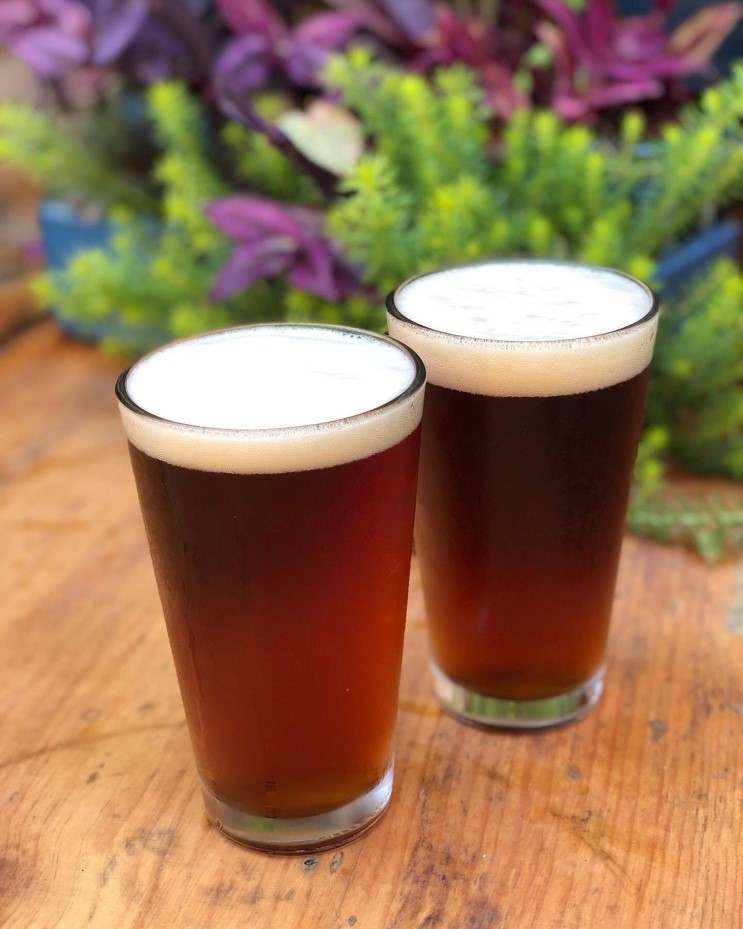 Two pints of Mummy Train pumpkin ale from St. Paul Brewing